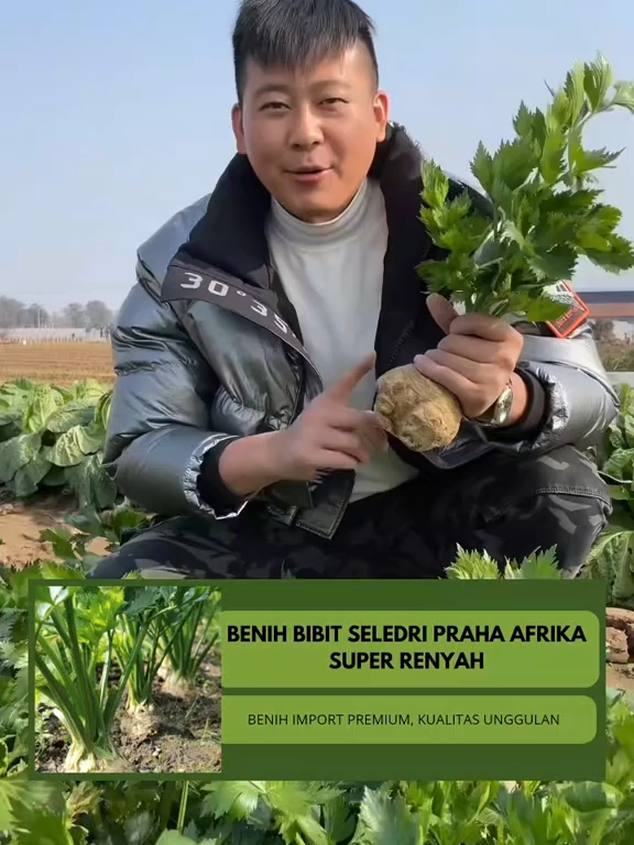 benih seledri praha prosentase tumbuhnya 95%, kandungan gizi dan vitaminnyapun sangat tinggi, sangat renyah & mudah perawatannya #fypシ゚viral🖤tiktok #fyp #beauty #fvpシ♡ #seledri #seledrihidroponik #hidroponik #hidroponikpemula #fyp #benih #benihsayuran #sayuran#soap