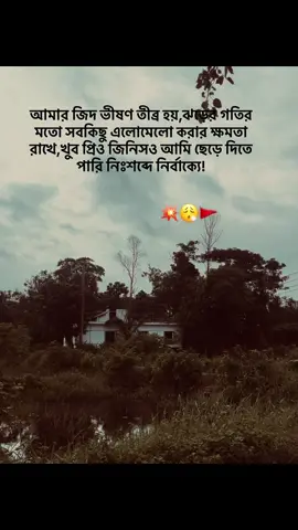 আমার জিদ ভীষণ তীব্র হয়,ঝড়ের গতির মতো সবকিছু এলোমেলো করার ক্ষমতা রাখে,খুব প্রিও জিনিসও আমি ছেড়ে দিতে পারি নিঃশব্দে নির্বাক্যে! . . #caption #trending 