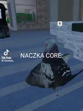 NACZKA CORE: