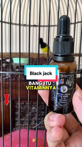 Black hack bisa untuk segala henis burung kicau om #vitaminburungkicau #blackjack #blackjackdoping 