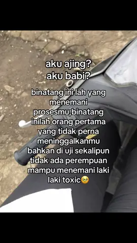 #katakata 