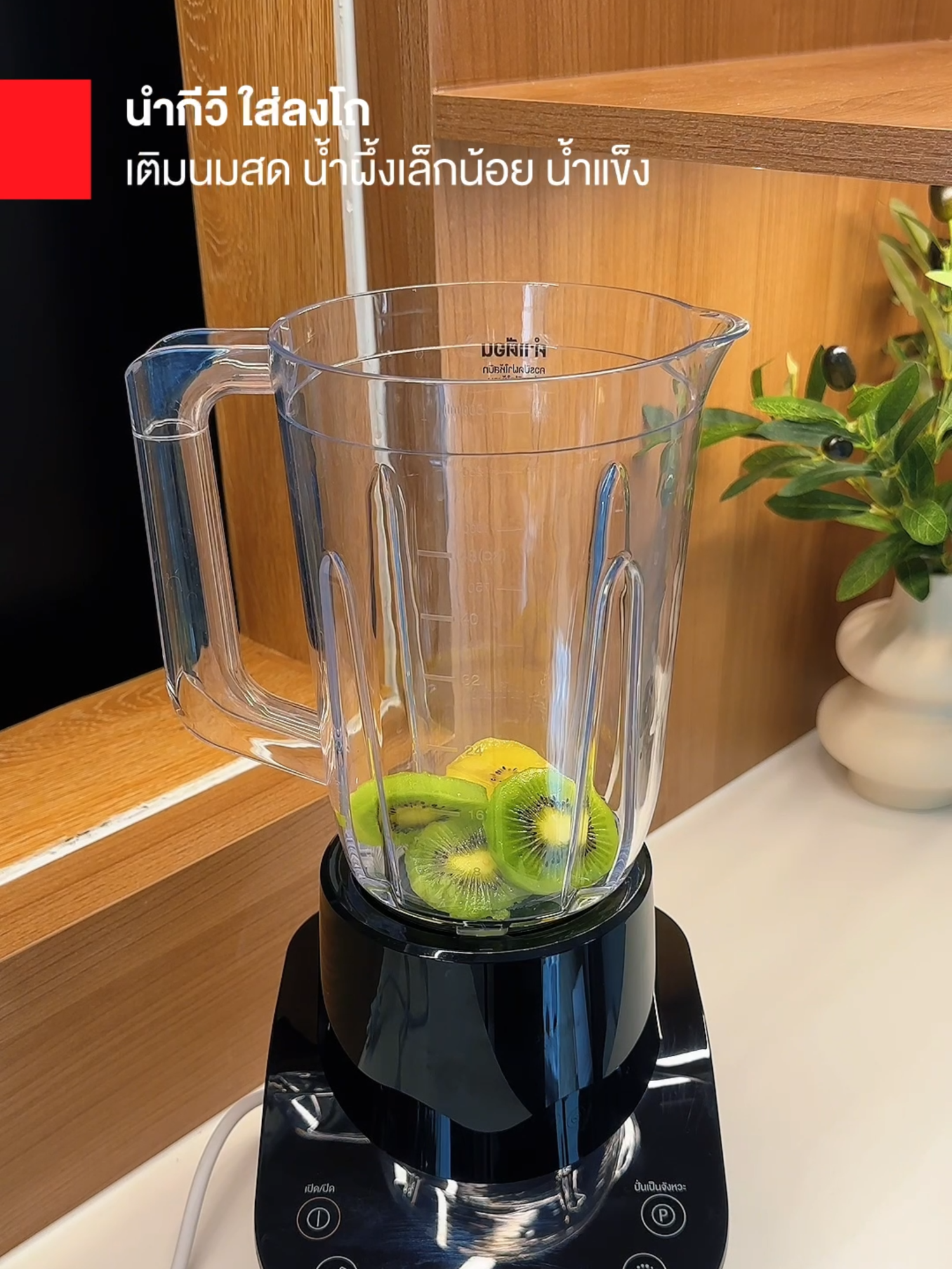 🥝 เติมความสดชื่นให้เช้าวันใหม่ ด้วยเมนูง่ายๆ อย่าง “กีวีนมสด” แค่มี Toshiba BL-70PS1TTH(K) เครื่องปั่นอเนกประสงค์ ก็ปั่นความอร่อยได้ในแก้วเดียว! 🛒  ช้อปได้ที่ร้านค้าชั้นนำทั่วประเทศ  #TOSHIBA #DetailsMatter #เครื่องปั่น