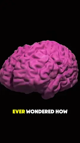 How Does Alzheimers Disease Destroy The Brain (3D Animation) #medical3danimation  #3dmedicalanimation  #brainhealthmatters  #alzheimersawareness  #alzheimersdisease  #neurodegeneration  #brainshrinking 