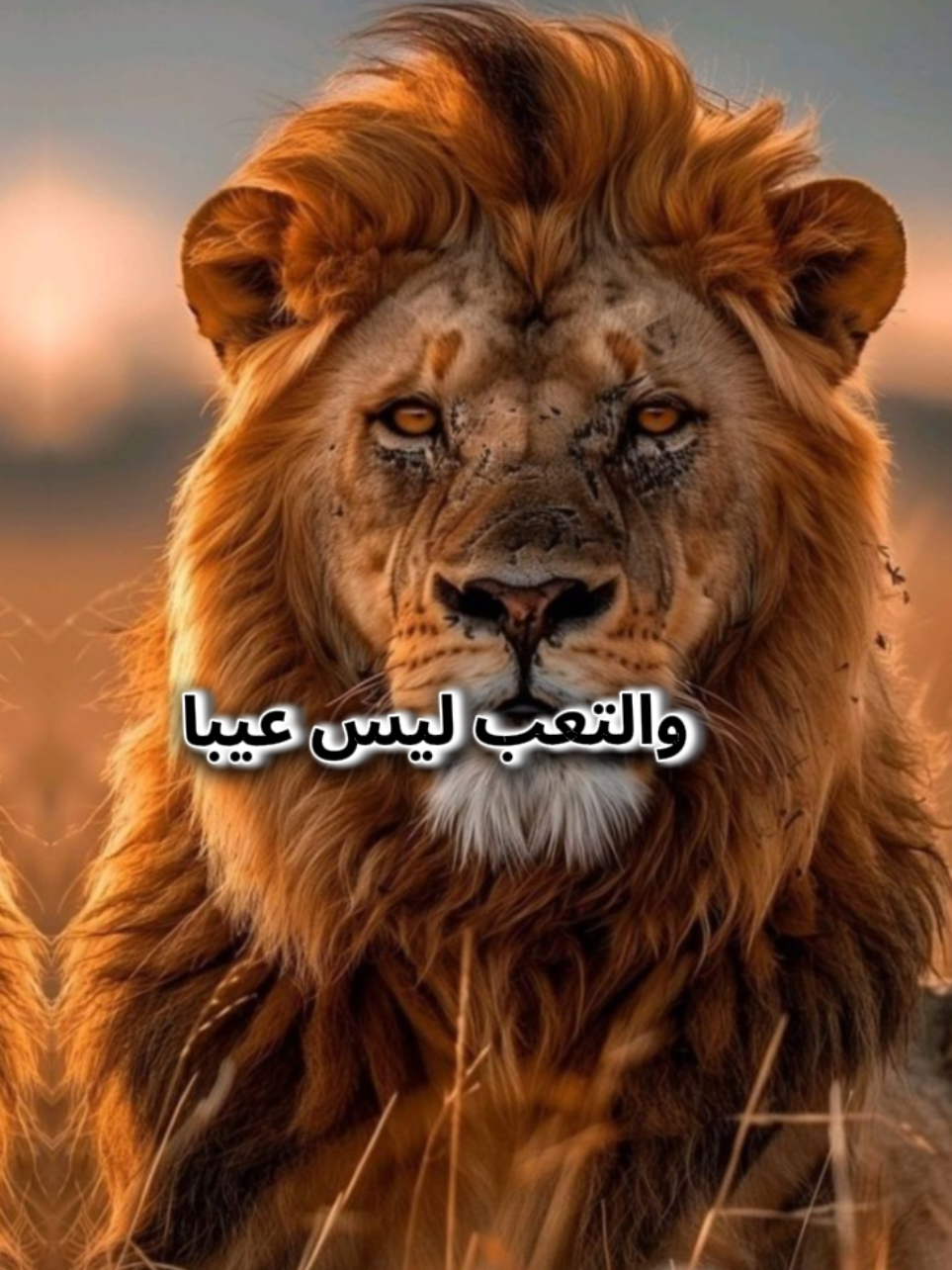 تعبت تعبت من محاولة شرح ما لا يشرح من تكرار الجمل ذاتها وكان الالم يحتاج الى ترجمة حتى يفهم مرهق🔥⚔️🗡️🔥#اقتباسات #خواطر #خواطر_للعقول_الراقية #كلام_من_ذهب #كلام_من_القلب #اقتباسات_عبارات_خواطر 