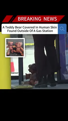 A Teddy Bear Covered In Human Skin Found Outside Of A Gas Station#news #fyp #breakingnews #foryou#us #teddybear #skin #gasstation 