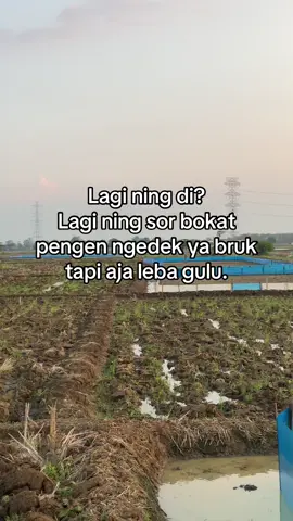 Bokat pen ngedek leba sikil bae ang☺️#tarling_indramayu_cirebon #cirebonpride🏴‍☠️ #fypage #fyp #cirebon_indramayu_taiwan #cirebon_indramayu 