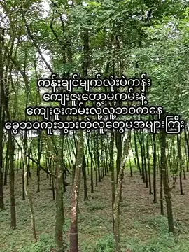 I hope you understand#flypシ #fyp #foryoupage #viral #tiktokmyanmar 