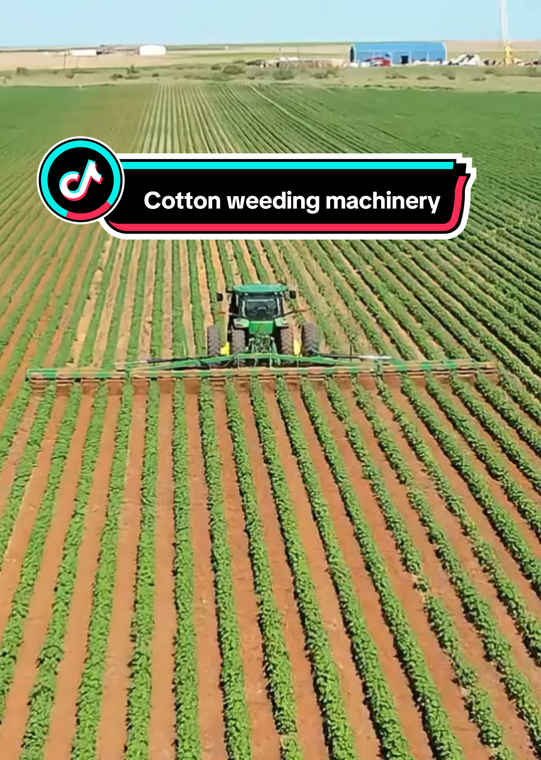 Episode 238 | Cotton weeding machinery #cottonweeding #weeding #tractor #agriculture #lawnmower #agriculturalmachines  @TikTok Assistant 