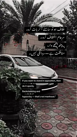 مخالفت کرو، مگر مردوں کی طرح سامنے آ کر! #foryou #foryoupage #asthetic #urdu #capcut #viral #trend