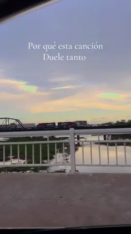 #atardecer #melancolia #dolor #musicanueva #fly #paratii #tendencia #viraltiktok #culiacan #mexico 