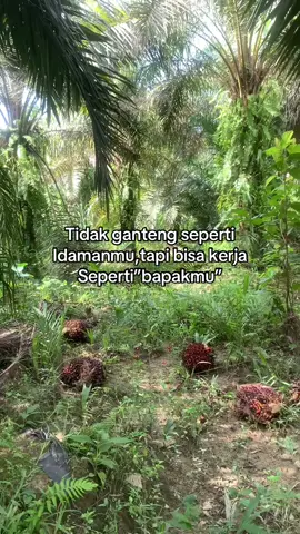 #kulisawit #fyppppppppppppppppppppppp  