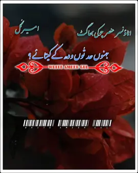 #سـاڈاــــــــــــــــــــــ پنجاب #رائیٹس_______امیرگُل #وائرل_ویڈیو____________tiktoksفریوviral #وائرل_ویڈیو____________tiktoksفریوviral🌹 #viraltiktok 