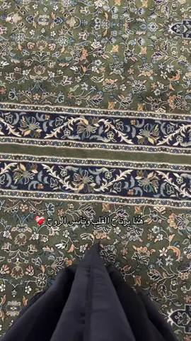حيثُ الراحه  والطمأنينه 🥺❤️ السلام عليك يارسول الله 🕌#المدينة_المنوره #الحرم #رسول_الله #المدينة #الحرم_المدني 