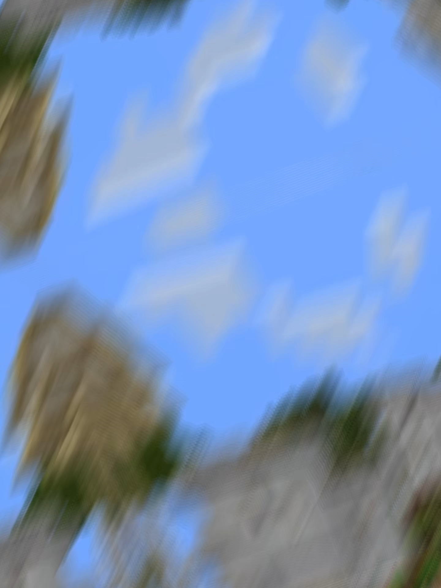 Dia 2 de v3r#gu1zas C4br0#a$ #minecraft #minecraftjava #minecraftmemes #pc #pcgaming #hd #60fps #ht3 #lt3? #lt3 #sword #espada #armadura #diamante #minemen #pvp #1vs1 #viralvideos #viralditiktok #stray #na #minecraftpvp #minecraftpvpclips #humor #minecrafthumor #miencraftjavaedition #lt4 #memestiktok #memestiktok #viraltiktok #viral #paratiiiiiiiiiiiiiiiiiiiiiiiiiiiiiii #lentejas