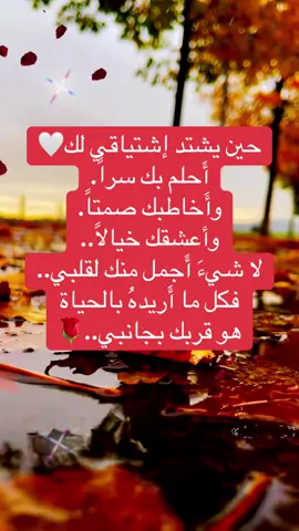 #حين _يشتد إشتياقي_ لك #أَحلم _بك سراً #وأَخاطبك _صمتاً و_ آعشقك _خيالا #لا شيءَ  _أَجمل منك_ لقلبي #فكل ما_ أَريدهُ _بالحياة هو قربك_ بجانبي…#capcut #foryou #foryoupage #fyp #viral #duet 
