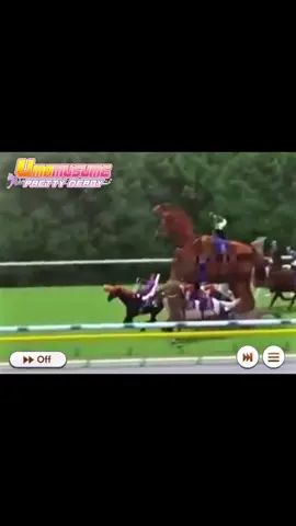 I think I downloaded the wrong Uma Musume.. . . . . . . . . . . . . . . . . . . . . . . . . . #umamusume #umamusumeprettyderby #umamusumeprettyderbyedit  #umamusumeedit #umamusumememe 
