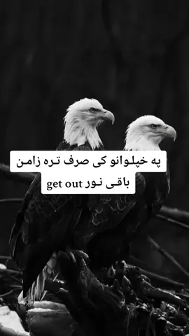 #✌#foryoupage 
