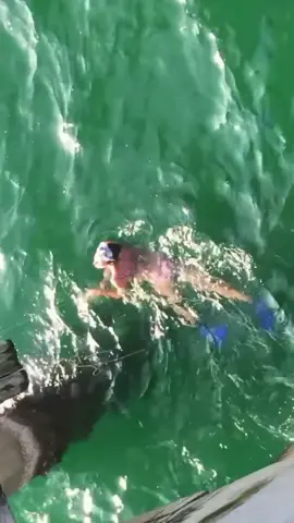 Bikini Karen jumps into shark waters just to annoy fishermen #fishermen #fishing #karen #shark #fishingdrama 
