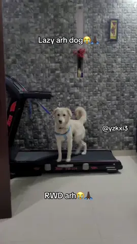 #yzkxi3 #fy #meme 