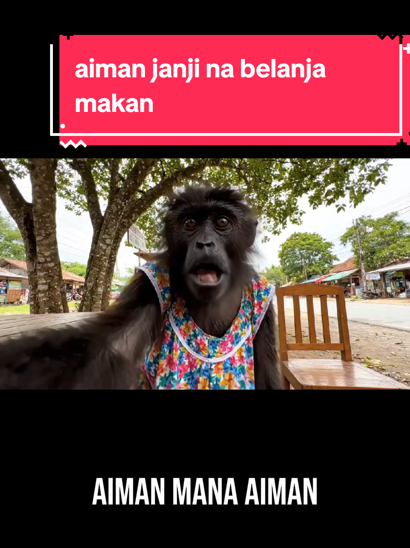 Replying to @norazhan.rahman aiman mana aiman. janji nk belanja makan. 