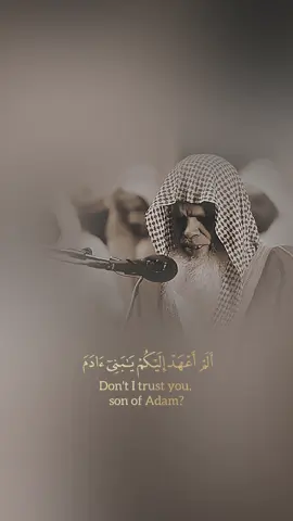 قد لا تكون الترجمة دقيقه علما بانها لمعاني الايات #قران_كريم #قران #قلبي_اطمأن #t55aa #علي_الحذيفي 