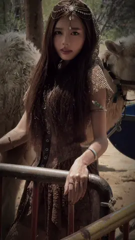 🐫🐫