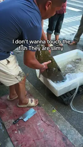 ##fishing #fishinglife #fisherman #fishingtiktoks #foryou 