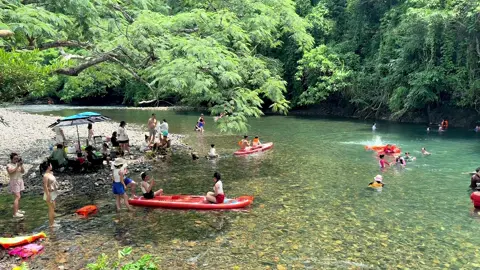 Làm sao tả hết vẻ đẹp này đây #langau #vuondieulangau #viral #khucamtraitutucvuondieu #hungcamping 