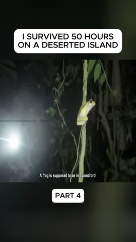 Part 4 #island #survival #beta #stranded 