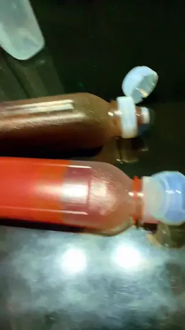 Botol plastik serbaguna anti tumpah | Botol plastik serbaguna ini anti tumpah dan anti pecah. Hanya bisa mengeluarkan isinya kalau dipencet. Menjaga botol dan dapurmu tetap bersih. #botolplastikserbaguna #botolplastik #botolplastikantitumpah #botokplastikantipecah #botolantipecah #botolantitumpah #sekotakasa #kotakasa