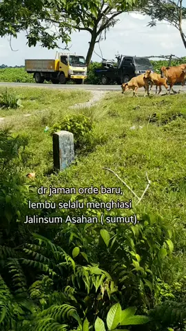 Jalan Lintas Sumatera,Asahan.