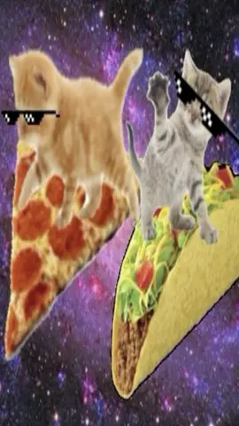 space catt =^•^= #spacecat #food #rainingtacos #roblox #fyp #brainrot #cat #space 