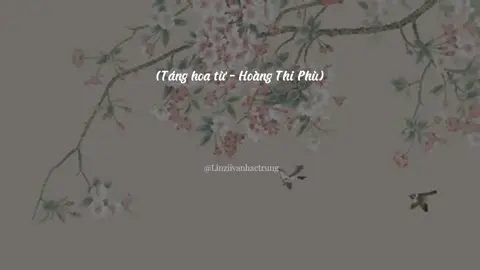 Song: Táng hoa từ | 葬花词 Singer: Hoàng Thi Phù | 黄诗扶 Nghe gào mệt tai rồi thì thôi nghe bài này cho đỡ mệt nha 🥰 