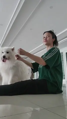 ศอกเขียวละหนึ่ง