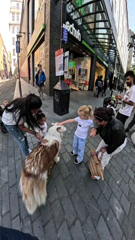 Interactions with my dog!! #husky #dogs #fyp #viral #doglover #famous #fans #crowd #violasnow 