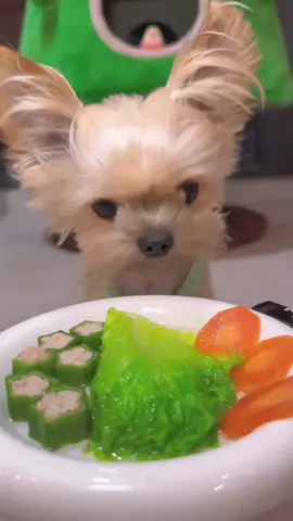 #cute #dog 