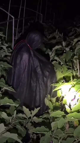 Thêm đồng đội mới.