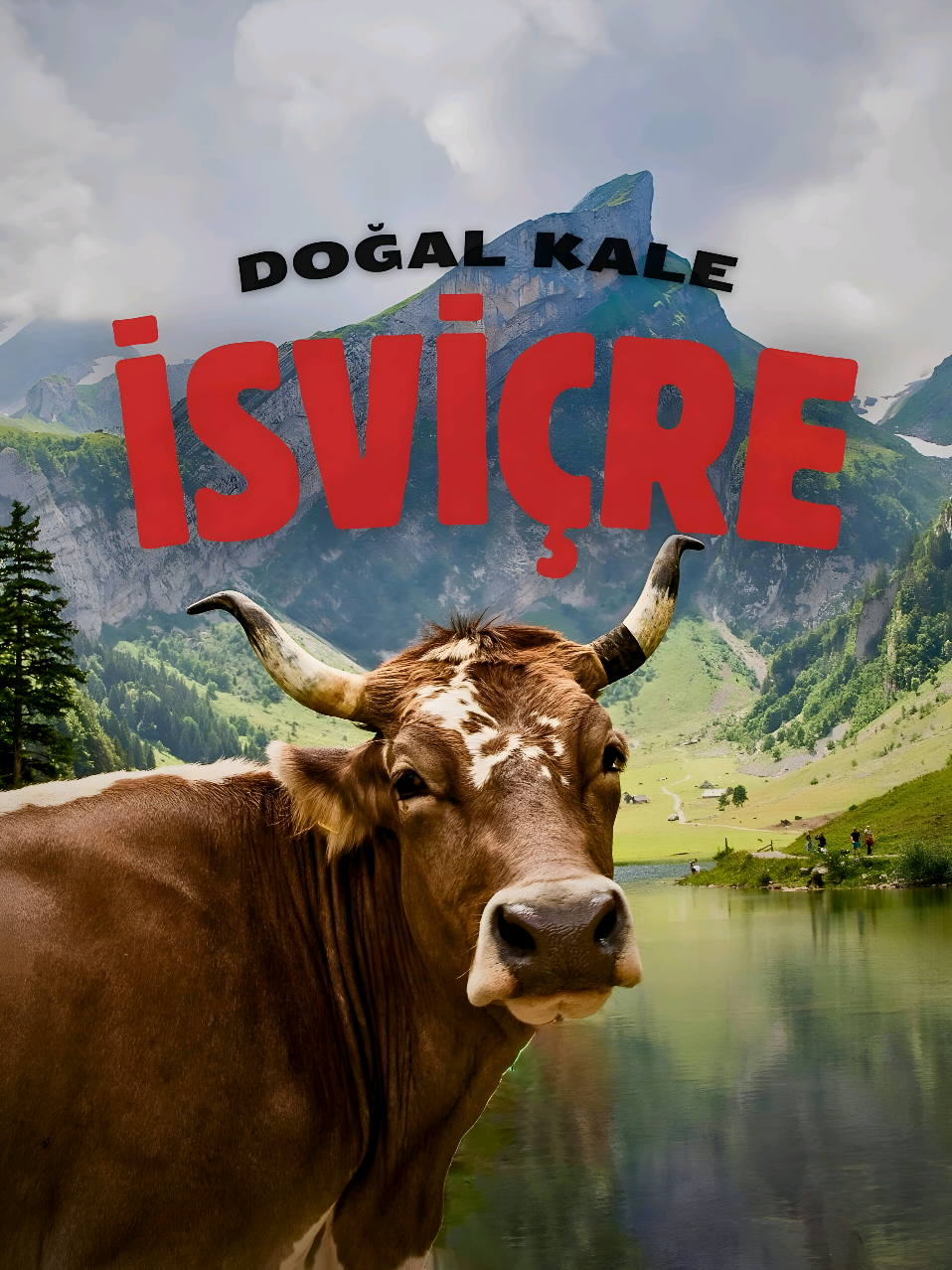 🇨🇭 Tarafsız mı? Belki. Ama kesinlikle dokunulmaz. Saatleri ve çikolatasıyla tanınan İsviçre, aslında bir sırlar ülkesi... ⛰️ Dağların içinde saklı yüzlerce tünel, 🛡️ Bomba geçirmez şehirler, 💣 Ve aktif savunma sistemleriyle çevrili bir kale. Bu ülkeye saldırmak mı? Yanlış hamlede tüm ülkeyle birlikte yok olabilirsin. 🔐 Gerçek İsviçre, yüzeyin çok altında... 🔁 Bu videoyu birlikte İsviçre’ye gitmek isteyeceğin kişiye gönder. 👀 Hâlâ takip etmiyorsan… belki de bu sırları bir daha asla öğrenemezsin. ✅ Ama takip ediyorsan: Tebrikler. Her gün bilinçli büyüyorsun. #isviçre #alpler #doğa #travel #fypviral #nature #switzerland #trendingvideo #foryoupage #traveltiktok #adventure #trending #gezgin 
