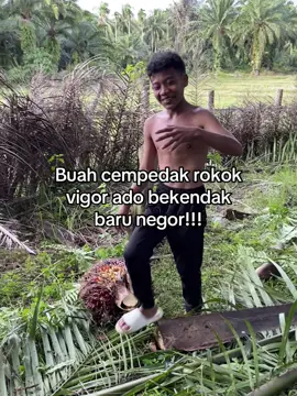 #palembangtiktok #palembangcity #curupbengkulu #djremix #fyppppppppppppppppppppppp 