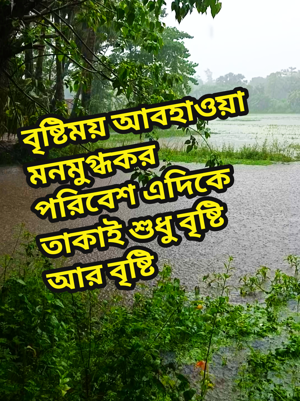 বৃষ্টিময় আবহাওয়া মনমুগ্ধকর পরিবেশ এদিকে তাকাই শুধু বৃষ্টি আর বৃষ্টি #fyp #foryou #tiktok #viral #প্রাকৃতিকভিডিও #বৃষ্টি #গ্রামবাংলারপ্রকৃতি 