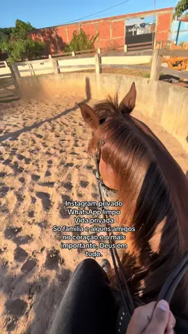 #vaquejada #vaquero #fyp #cavalo #foryoupage 