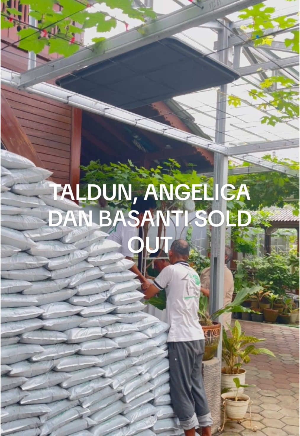 #tabulampotanggur 