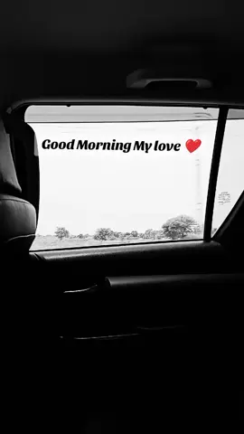Good Morning My Love 💞😘💞😘#Relationship #lovequotes #lovequote #soulmate #Love #motivation #motivationalvideo 