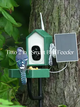 Titto by Kingsyard 2-in-1 Smart Bird Feeder with Camera — One simple buy, two ways to satisfy. Enjoy watching birds and hummingbirds with one device. Auto-capture and real-time notifications ensure you never miss a visit. An ideal gift to share the joy of bird watching. #Kingsyard #Titto #Birdfeeder #Smartbirdfeeder #Smartcamera #Birdwatching #Hummingbirds #Birdfeeding #Naturelovers #WildBirds #Birds #backyardbirding #NatureTech #smartbirding