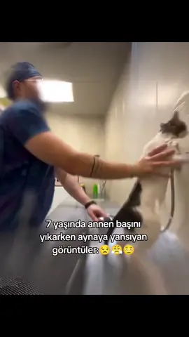 😄😄#duş #banyo #kucukken #anne #akim#akimvideolari #kesfet #kedi