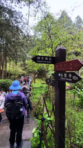 Baru turun dari gunung nihh capek😮‍💨#campinglife #Taiwanvibes #lewatberanda #mentahanvideo #bahanswmu #fouryoupage 