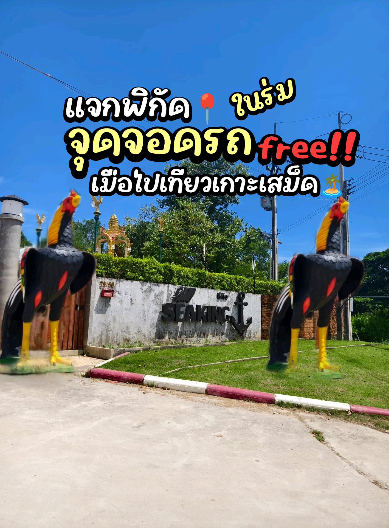 🅿️ จอดรถฟรีตลอดทริปเลยค่ะ  จะกี่คัน ไปกี่วัน กี่เดือนก็ได้ เที่ยวหายห่วง สบายใจ ไร้กังวล 🥰    💢 มีรั้ว ระบบไฟฟ้า ประตูอัตโนมัติ  💢 เจ้าหน้าที่ดูแลตลอด 24 ชม.ฟรีตลอด 💢 รถรับ-ส่ง ฟรี 💢 ค่ามัดจำบัตรจอด 100 บาท/คัน คืนวันเดินทางกลับ 🚗 หลังการจองเราจะส่งลิ้งค์แผนที่บริษัทให้ค่ะ เพื่อนำรถมาจอด-เช็คอิน-รับตั๋วเรือ และเรามีรถรับ-ส่งไปยังสะพาน ท่าเรือเทศบาลเพ ฟรีค่ะ รอบเรือสปีดโบ๊ทไป-กลับแบบจอย  รับ-ส่ง ท่าเรือหน้าด่าน 300/ท่าน รับ-ส่งแบบเหมาลำ หน้าหาดทรายแก้วได้เฉพาะเสาร์-อาทิตย์วันหยุดนักขัตฤกษ์   ⏰รอบไป: 08:00-17:00น. ไม่กำหนดเวลาออก แต่มีออกทุกชั่วโมง  ช่วงนี้นักท่องเที่ยวน้อยแนะนำมาก่อน 15:00 ค่ะ 😊 ⏰รอบกลับ : 12:30 , 14:00 น. #เทรนด์วันนี้ #จอดรถseakingเกาะเสม็ด #seaking #tiktokพาเที่ยว 