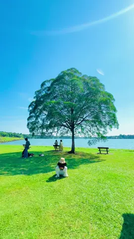 #singapore #fypシ゚ #vairal 