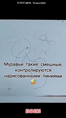 #ВэтотДень 