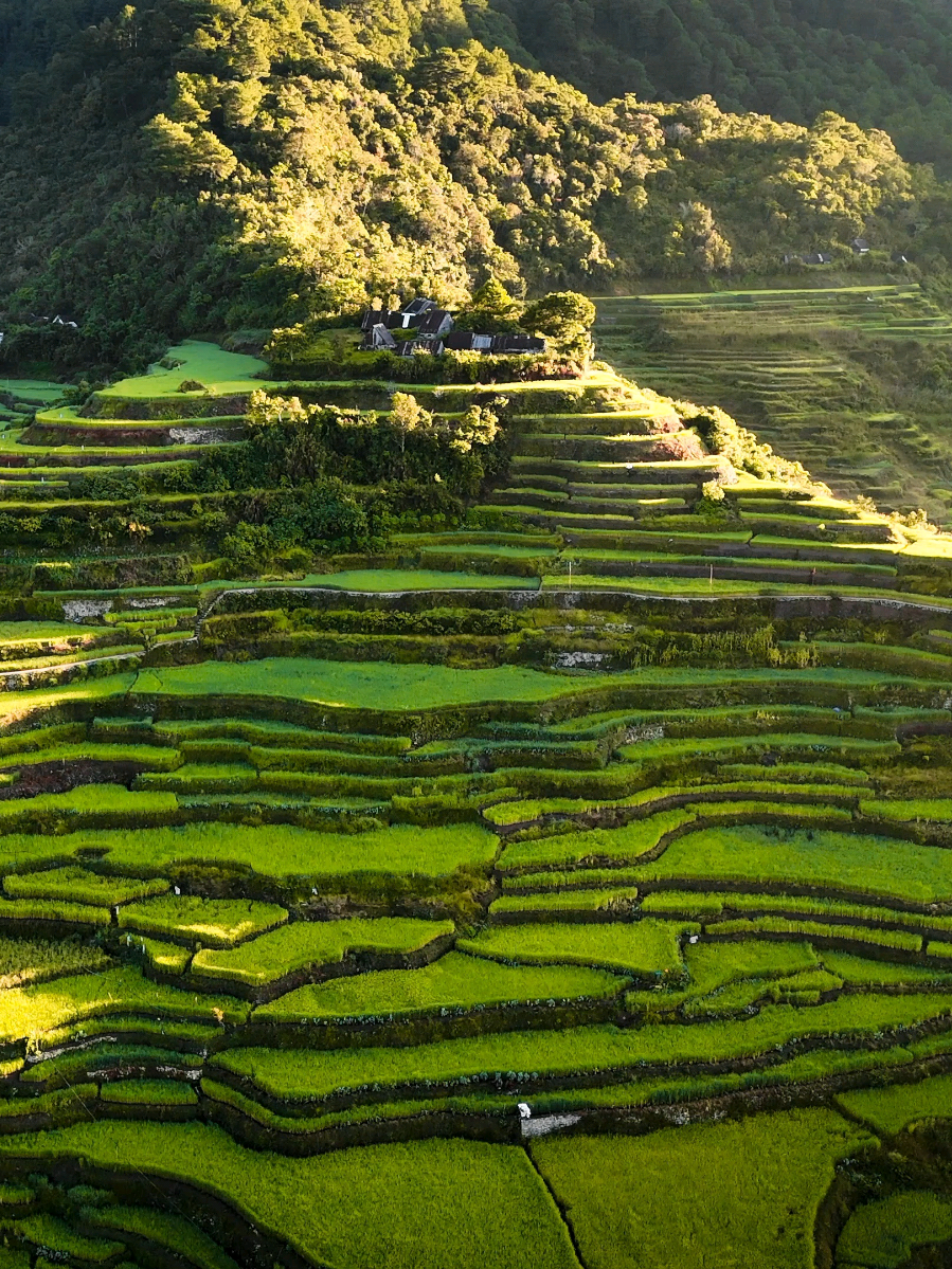 From books to reality 📖⛰️ the Mt Fato x Mt. Kupapey Hike song credits to  HOME- Good Neighbours #travel #drone #maligcongriceterraces #dji #hike #banaue #Hiking #hikingadventures #foryoupage #fyp #nature #Home #mtkupapey #mountain 